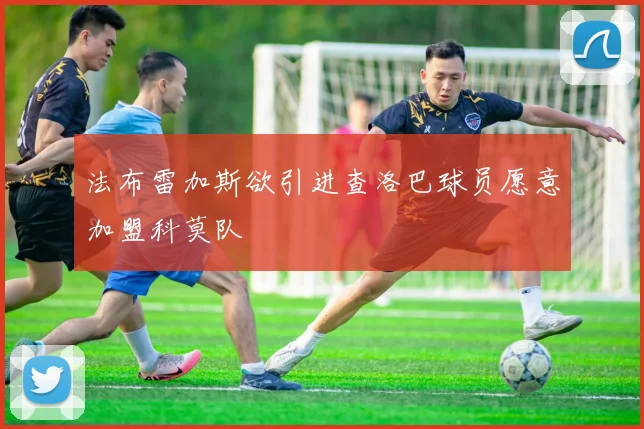 法布雷加斯欲引进查洛巴球员愿意加盟科莫队