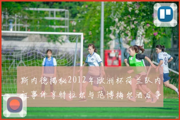 斯内德揭秘2012年欧洲杯荷兰队内讧事件亨特拉尔与范博梅尔酒后争执内幕